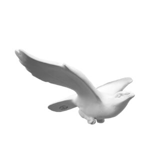 Bird Diving